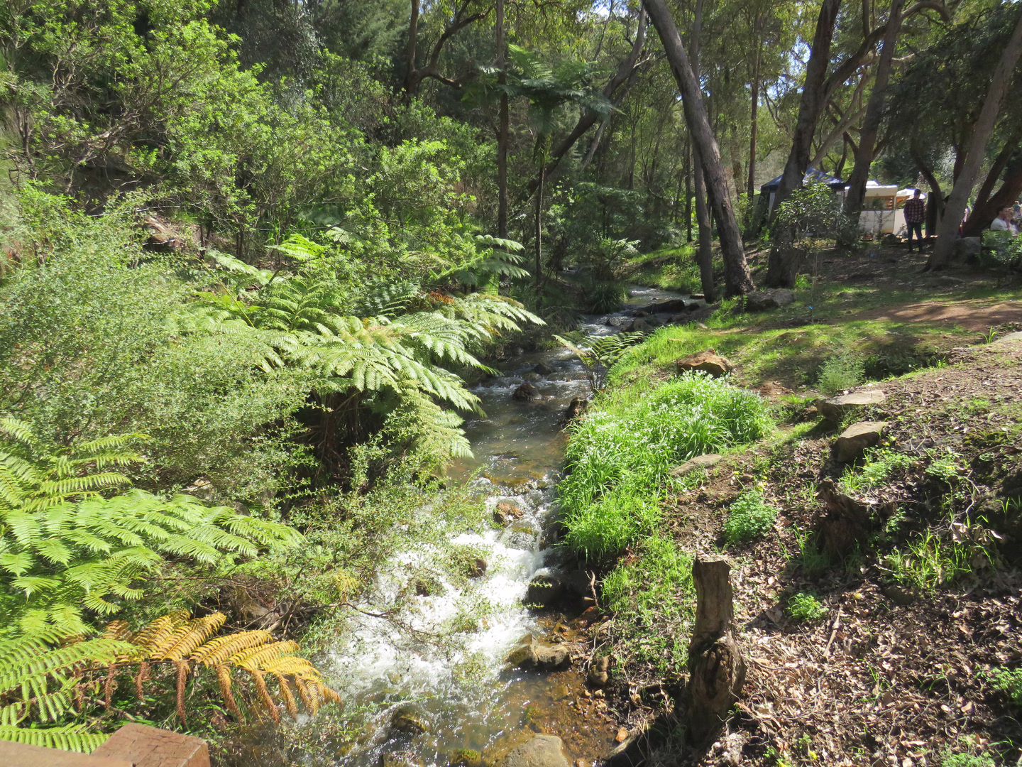 A stream