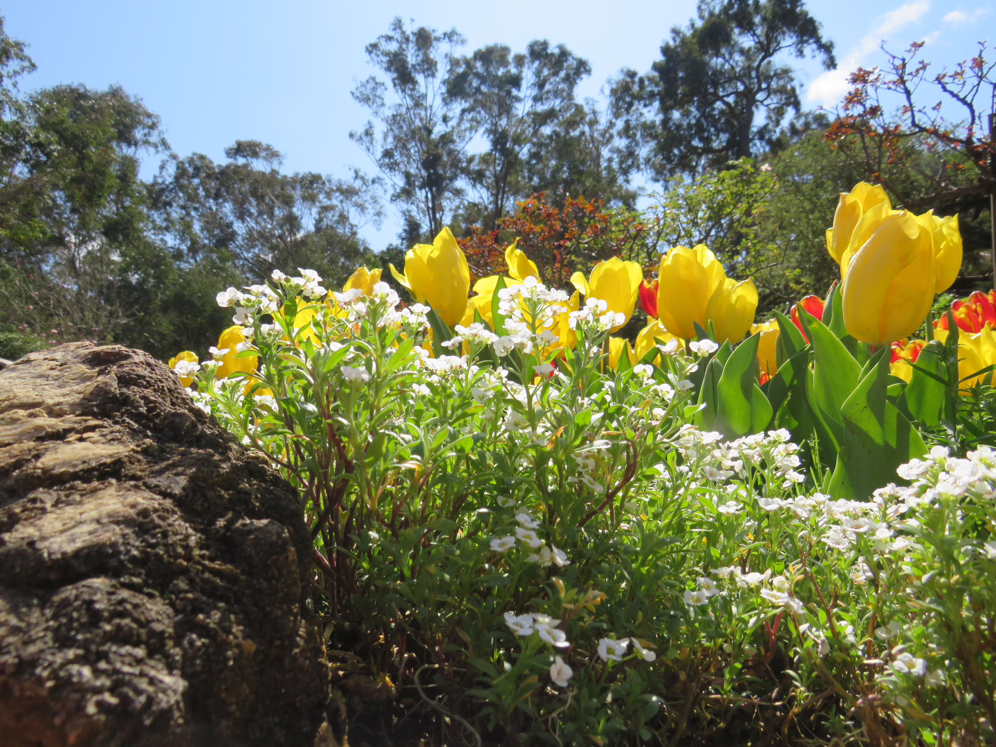 Flowers on the side