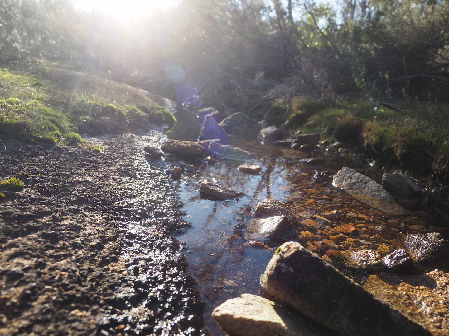 There were little streams and puddles of water surrounding the rock.