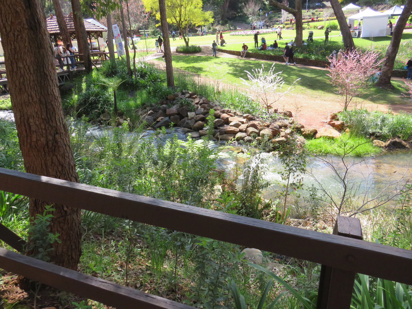 A stream that runs through the park